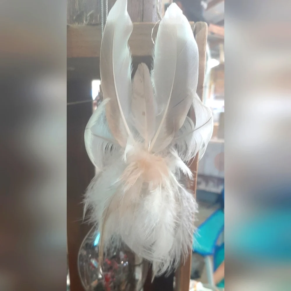 Angel - Picture 1 of 1